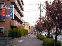 50620001s.JPG (15988 oCg)