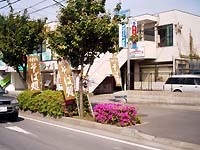 50620007s.JPG (17855 oCg)