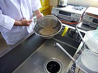 P1030671s.JPG (14271 バイト)
